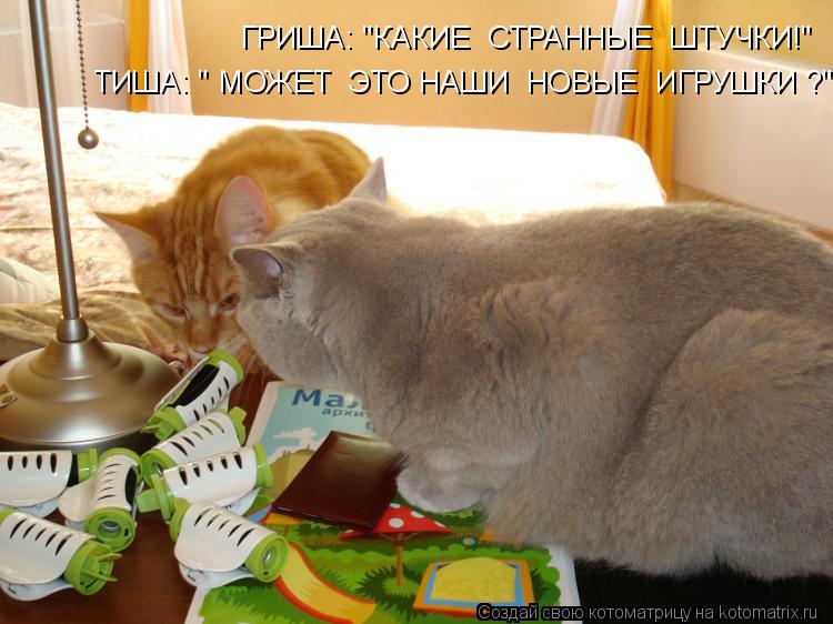 ГРИША: "КАКИЕ СТРАННЫЕ ШТУЧКИ!" ТИША: " МОЖЕТ ЭТО НАШИ НОВЫЕ ИГРУШКИ ?"... Котоматрица: ГРИША: "КАКИЕ СТРАННЫЕ ШТУЧКИ!" ТИША: " МОЖЕТ ЭТО НАШИ НОВЫЕ ИГРУШКИ ?"