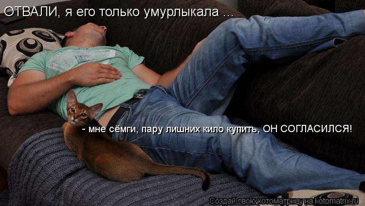 ОТВАЛИ, я его только умурлыкала ... - мне сёмги, пару лишних кило купить, ОН СОГЛАСИЛСЯ!... Котоматрица: ОТВАЛИ, я его только умурлыкала ... - мне сёмги, пару лишних кило купить, ОН СОГЛАСИЛСЯ!