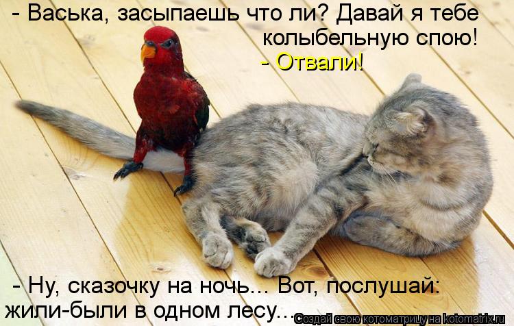- Васька, засыпаешь что ли? Давай я тебе колыбельную спою! - Отвали! - Ну, сказочку на ночь... Вот, п... Котоматрица: - Васька, засыпаешь что ли? Давай я тебе колыбельную спою! - Отвали! - Ну, сказочку на ночь... Вот, послушай: жили-были в одном лесу...