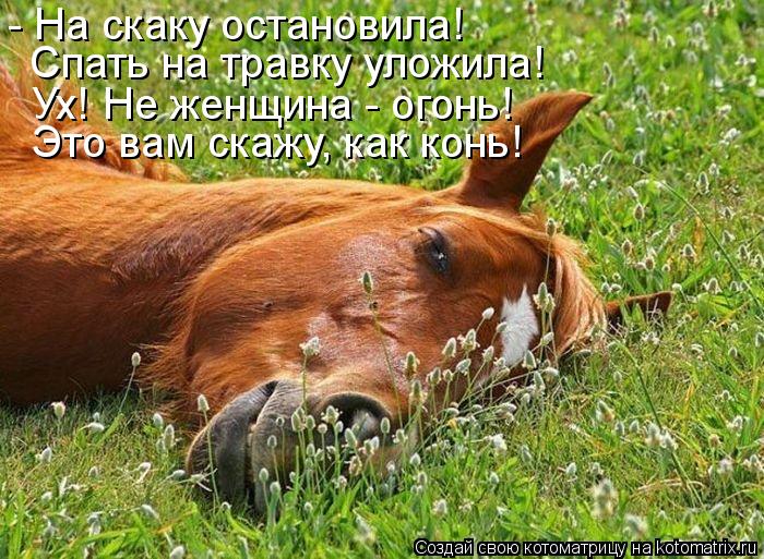Спать на травку уложила! - На скаку остановила! Это вам скажу, как конь! Ух! Не женщина - огонь!... Котоматрица: Спать на травку уложила! - На скаку остановила! Это вам скажу, как конь! Ух! Не женщина - огонь!