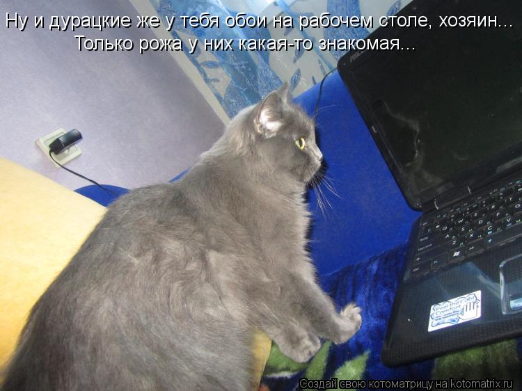 Ну и дурацкие же у тебя обои на рабочем столе, хозяин... Только рожа у них какая-то знакомая...... Котоматрица: Ну и дурацкие же у тебя обои на рабочем столе, хозяин... Только рожа у них какая-то знакомая...