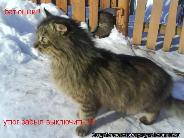 батюшки!! утюг забыл выключить!!!!!... Котоматрица: батюшки!! утюг забыл выключить!!!!!