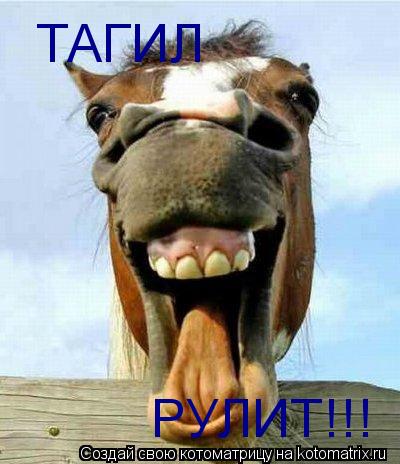 ТАГИЛ РУЛИТ!!!... Котоматрица: ТАГИЛ РУЛИТ!!!