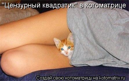 "Цензурный квадратик" в котоматрице... Котоматрица: "Цензурный квадратик" в котоматрице