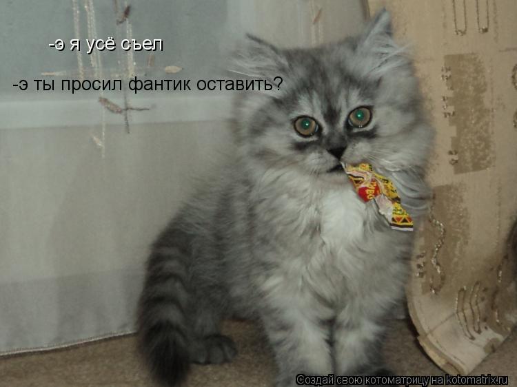 -э я усё съел -э ты просил фантик оставить?... Котоматрица: -э я усё съел -э ты просил фантик оставить?