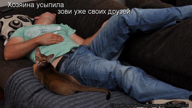Хозяина усыпила зови уже своих друзей... Котоматрица: Хозяина усыпила зови уже своих друзей