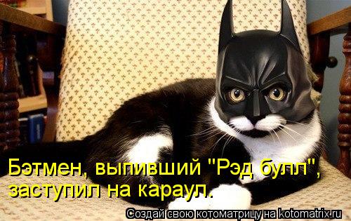 заступил на караул. Бэтмен, выпивший "Рэд булл",... Котоматрица: заступил на караул. Бэтмен, выпивший "Рэд булл",