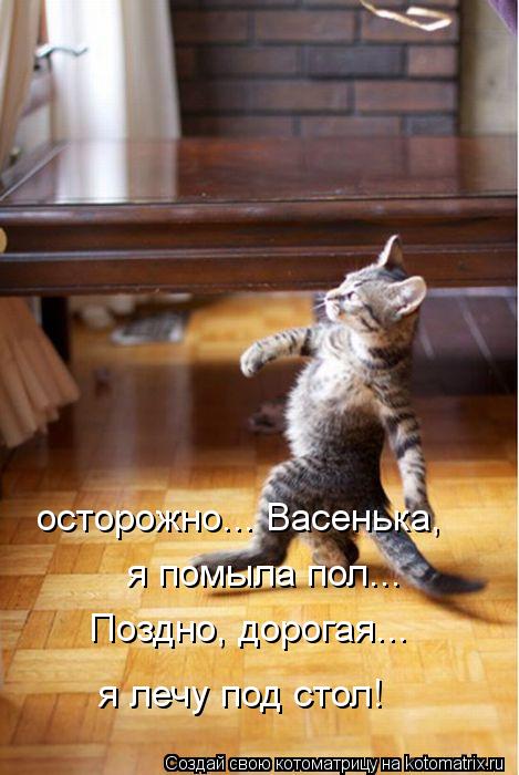 осторожно... Васенька, я помыла пол... Поздно, дорогая... я лечу под стол!... Котоматрица: осторожно... Васенька, я помыла пол... Поздно, дорогая... я лечу под стол!