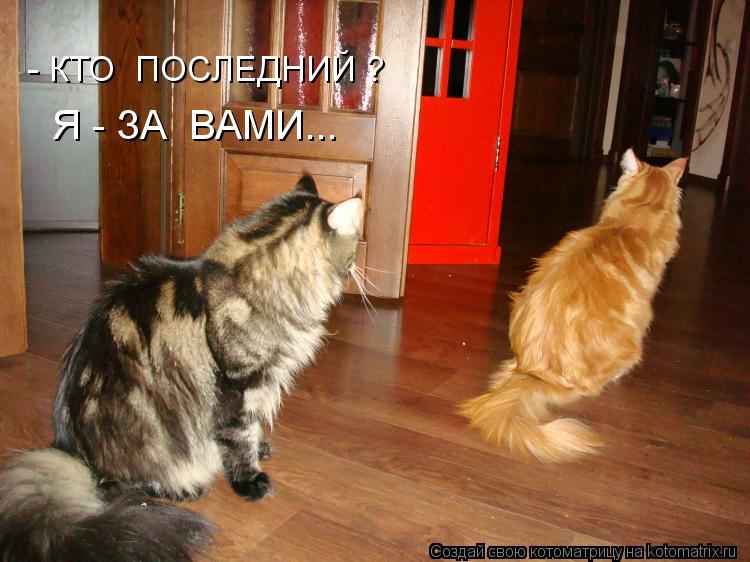 - КТО ПОСЛЕДНИЙ ? Я - ЗА ВАМИ...... Котоматрица: - КТО ПОСЛЕДНИЙ ? Я - ЗА ВАМИ...
