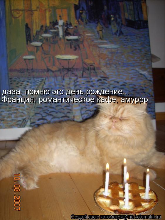 дааа, помню это день рождение... Франция, романтическое кафе, амуррр... Котоматрица: дааа, помню это день рождение... Франция, романтическое кафе, амуррр