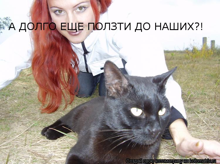 Котоматрица: А ДОЛГО ЕЩЕ ПОЛЗТИ ДО НАШИХ?!