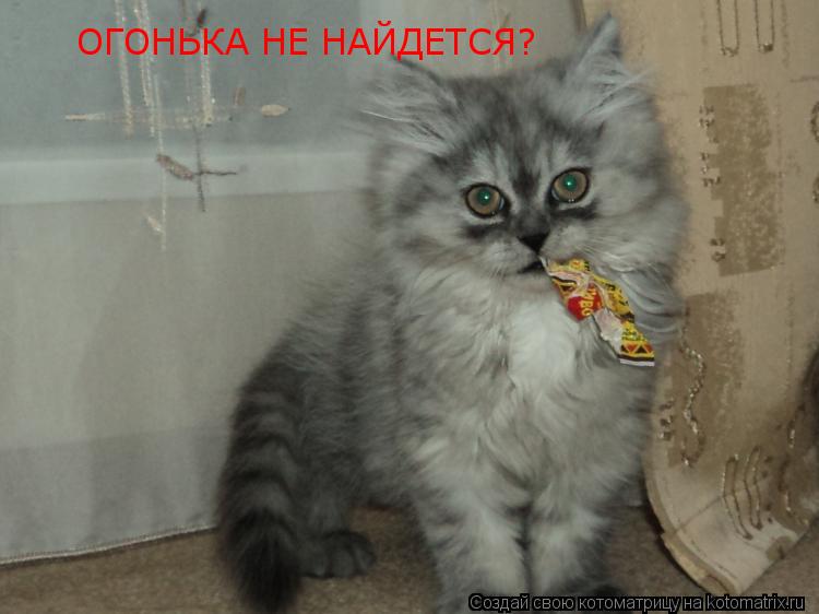 Котоматрица: ОГОНЬКА НЕ НАЙДЕТСЯ?
