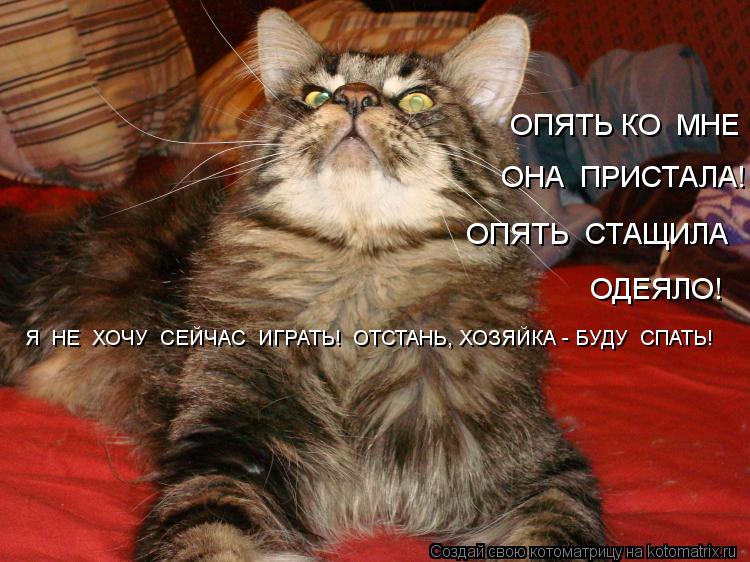 ОПЯТЬ КО МНЕ ОНА ПРИСТАЛА! ОПЯТЬ СТАЩИЛА ОДЕЯЛО! Я НЕ ХОЧУ СЕЙЧАС ИГРАТЬ! ОТСТАНЬ, ХОЗЯЙКА -... Котоматрица: ОПЯТЬ КО МНЕ ОНА ПРИСТАЛА! ОПЯТЬ СТАЩИЛА ОДЕЯЛО! Я НЕ ХОЧУ СЕЙЧАС ИГРАТЬ! ОТСТАНЬ, ХОЗЯЙКА - БУДУ СПАТЬ!