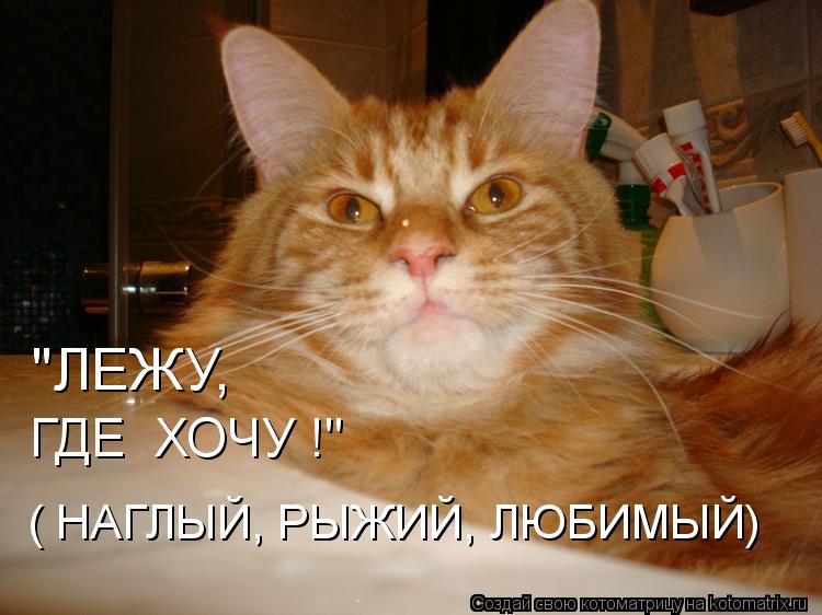 ( НАГЛЫЙ, РЫЖИЙ, ЛЮБИМЫЙ) ГДЕ ХОЧУ !" "ЛЕЖУ,... Котоматрица: ( НАГЛЫЙ, РЫЖИЙ, ЛЮБИМЫЙ) ГДЕ ХОЧУ !" "ЛЕЖУ,