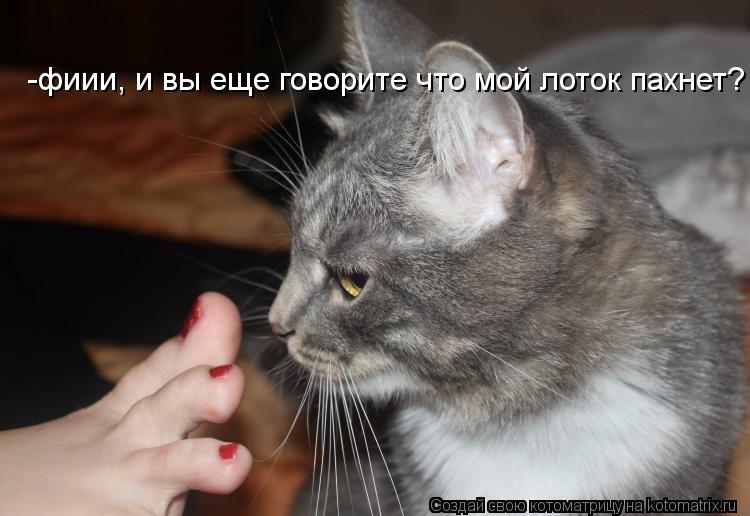 -фиии, и вы еще говорите что мой лоток пахнет?... Котоматрица: -фиии, и вы еще говорите что мой лоток пахнет?