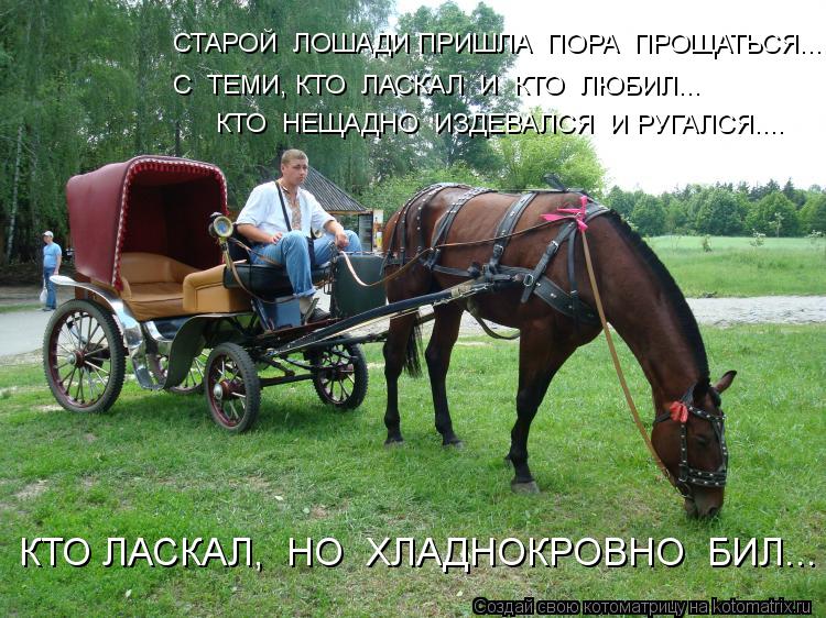 СТАРОЙ ЛОШАДИ ПРИШЛА ПОРА ПРОЩАТЬСЯ... С ТЕМИ, КТО ЛАСКАЛ И КТО ЛЮБИЛ... КТО НЕЩАДНО ИЗДЕВА... Котоматрица: СТАРОЙ ЛОШАДИ ПРИШЛА ПОРА ПРОЩАТЬСЯ... С ТЕМИ, КТО ЛАСКАЛ И КТО ЛЮБИЛ... КТО НЕЩАДНО ИЗДЕВАЛСЯ И РУГАЛСЯ.... КТО ЛАСКАЛ, НО ХЛАДНОКРОВНО