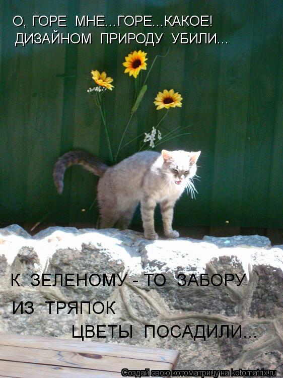 ДИЗАЙНОМ ПРИРОДУ УБИЛИ... К ЗЕЛЕНОМУ - ТО ЗАБОРУ ИЗ ТРЯПОК ЦВЕТЫ ПОСАДИЛИ... О, ГОРЕ МНЕ...ГО... Котоматрица: ДИЗАЙНОМ ПРИРОДУ УБИЛИ... К ЗЕЛЕНОМУ - ТО ЗАБОРУ ИЗ ТРЯПОК ЦВЕТЫ ПОСАДИЛИ... О, ГОРЕ МНЕ...ГОРЕ...КАКОЕ!
