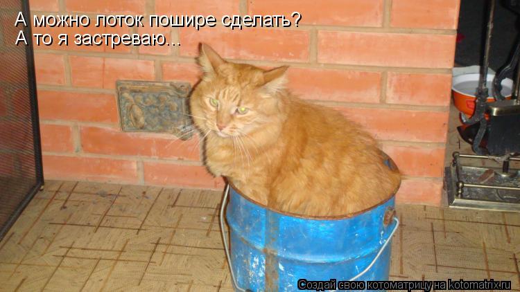 А можно лоток пошире сделать? А то я застреваю...... Котоматрица: А можно лоток пошире сделать? А то я застреваю...