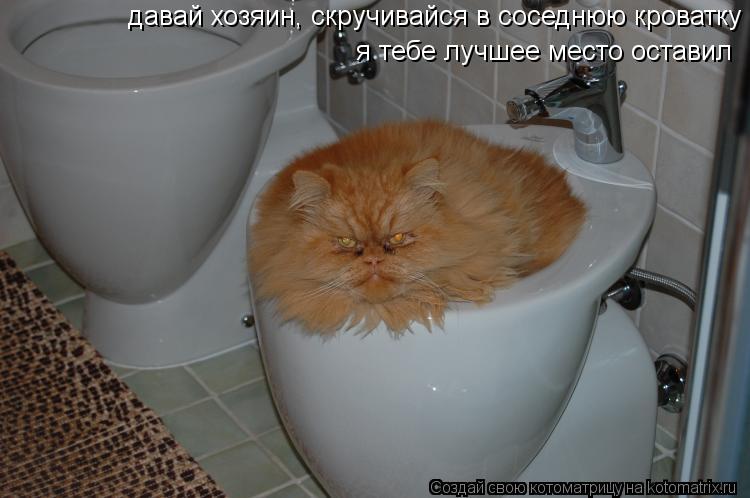давай хозяин, скручивайся в соседнюю кроватку я тебе лучшее место оставил... Котоматрица: давай хозяин, скручивайся в соседнюю кроватку я тебе лучшее место оставил