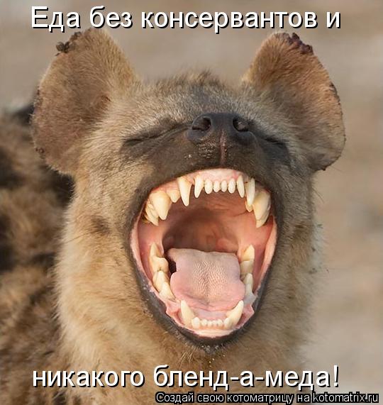 Еда без консервантов и никакого бленд-а-меда!... Котоматрица: Еда без консервантов и никакого бленд-а-меда!