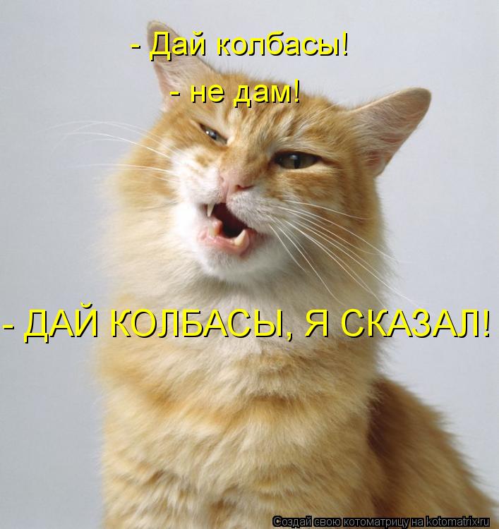 - Дай колбасы! - не дам! - ДАЙ КОЛБАСЫ, Я СКАЗАЛ!... Котоматрица: - Дай колбасы! - не дам! - ДАЙ КОЛБАСЫ, Я СКАЗАЛ!
