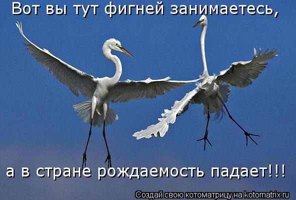 Вот вы тут фигней занимаетесь, а в стране рождаемость падает!!!... Котоматрица: Вот вы тут фигней занимаетесь, а в стране рождаемость падает!!!