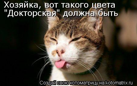 Хозяйка, вот такого цвета "Докторская" должна быть... Котоматрица: Хозяйка, вот такого цвета "Докторская" должна быть