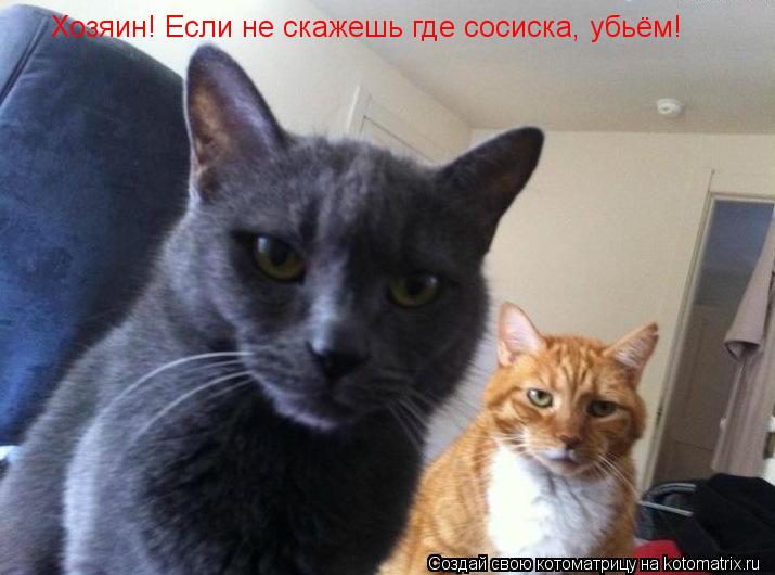 Хозяин! Если не скажешь где сосиска, убьём!... Котоматрица: Хозяин! Если не скажешь где сосиска, убьём!