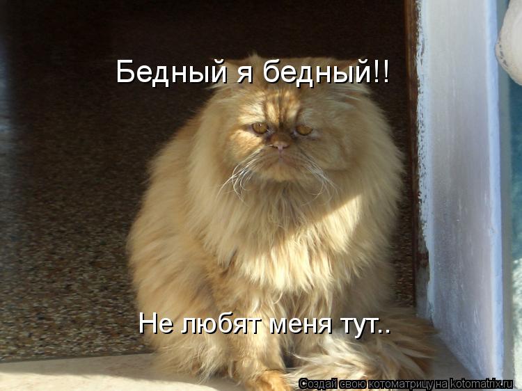 Не любят меня тут.. Бедный я бедный!!... Котоматрица: Не любят меня тут.. Бедный я бедный!!