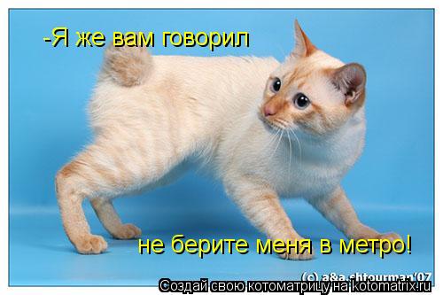 -Я же вам говорил не берите меня в метро!... Котоматрица: -Я же вам говорил не берите меня в метро!