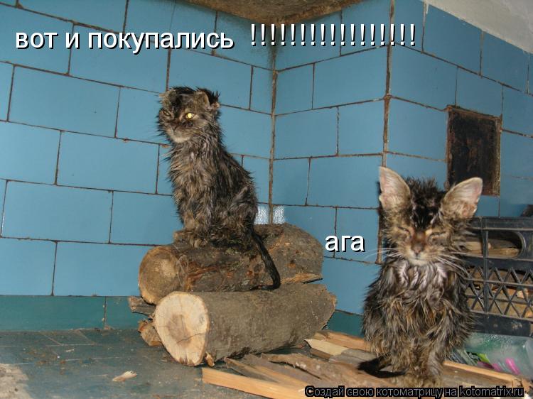 вот и покупались ага !!!!!!!!!!!!!!!!!... Котоматрица: вот и покупались ага !!!!!!!!!!!!!!!!!