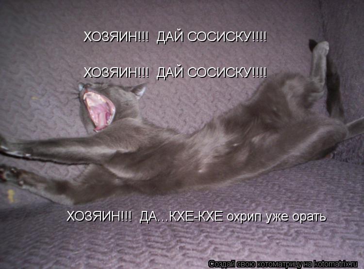 ХОЗЯИН!!! ДАЙ СОСИСКУ!!!! ХОЗЯИН!!! ДАЙ СОСИСКУ!!!! ХОЗЯИН!!! ДА...КХЕ-КХЕ охрип уже орать... Котоматрица: ХОЗЯИН!!! ДАЙ СОСИСКУ!!!! ХОЗЯИН!!! ДАЙ СОСИСКУ!!!! ХОЗЯИН!!! ДА...КХЕ-КХЕ охрип уже орать