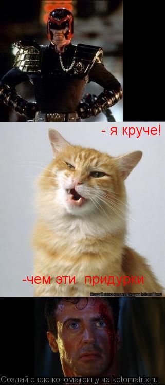 - я круче! -чем эти придурки... Котоматрица: - я круче! -чем эти придурки