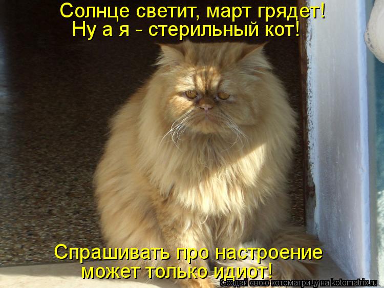 Солнце светит, март грядет! Ну а я - стерильный кот! Спрашивать про настроение может только идиот!... Котоматрица: Солнце светит, март грядет! Ну а я - стерильный кот! Спрашивать про настроение может только идиот!