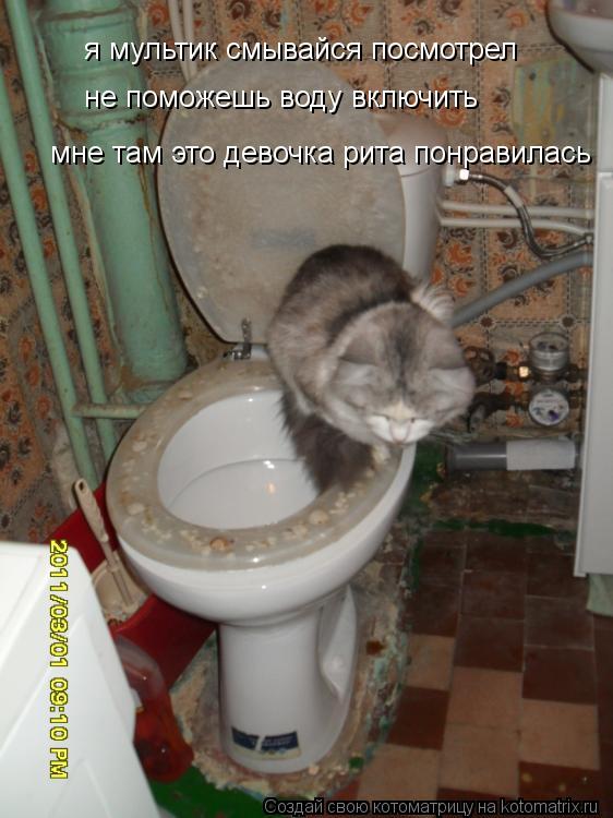 я мультик смывайся посмотрел не поможешь воду включить мне там это девочка рита понравилась... Котоматрица: я мультик смывайся посмотрел не поможешь воду включить мне там это девочка рита понравилась