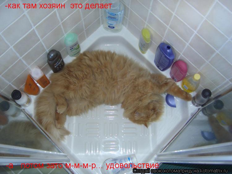-как там хозяин это делает -а потом зато м-м-м-р... удовольствие... Котоматрица: -как там хозяин это делает -а потом зато м-м-м-р... удовольствие