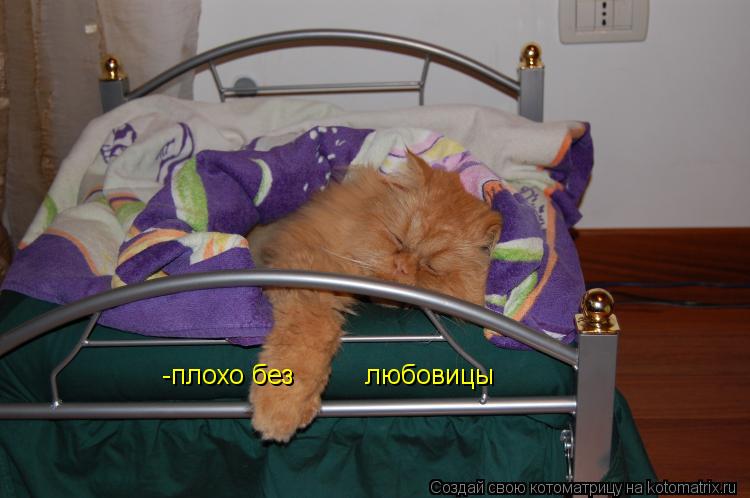 -плохо без любовицы... Котоматрица: -плохо без любовицы
