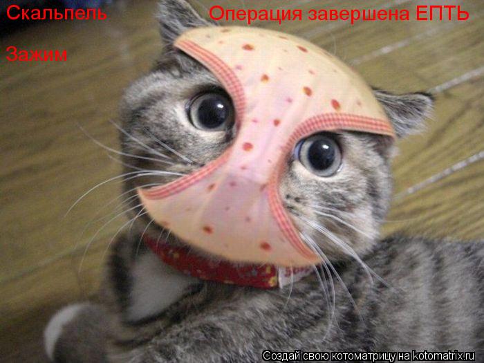 Скальпель Зажим Операция завершена ЕПТЬ... Котоматрица: Скальпель Зажим Операция завершена ЕПТЬ