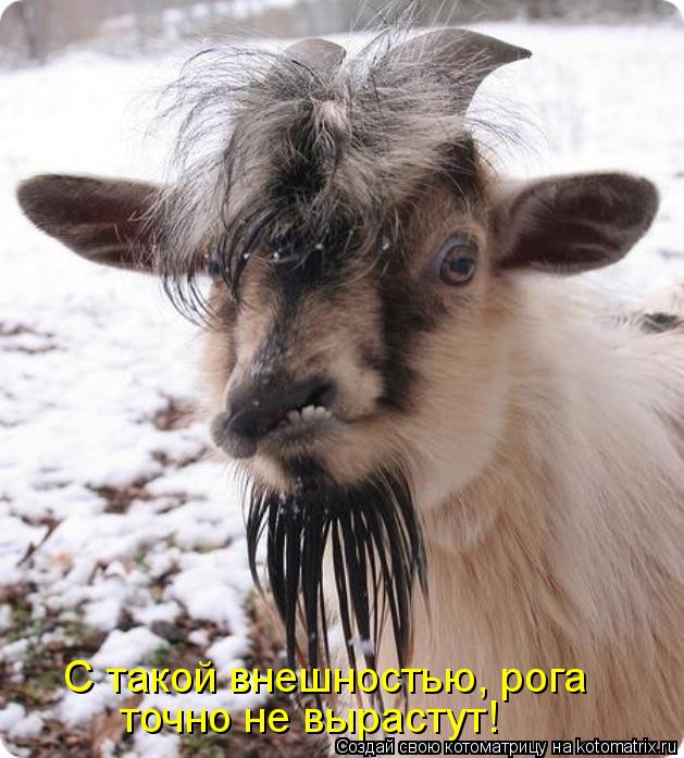 С такой внешностью, рога точно не вырастут!... Котоматрица: С такой внешностью, рога точно не вырастут!
