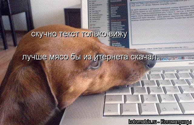 скучно текст только вижу лучше мясо бы из итернета скачал..... Котоматрица: скучно текст только вижу лучше мясо бы из итернета скачал..