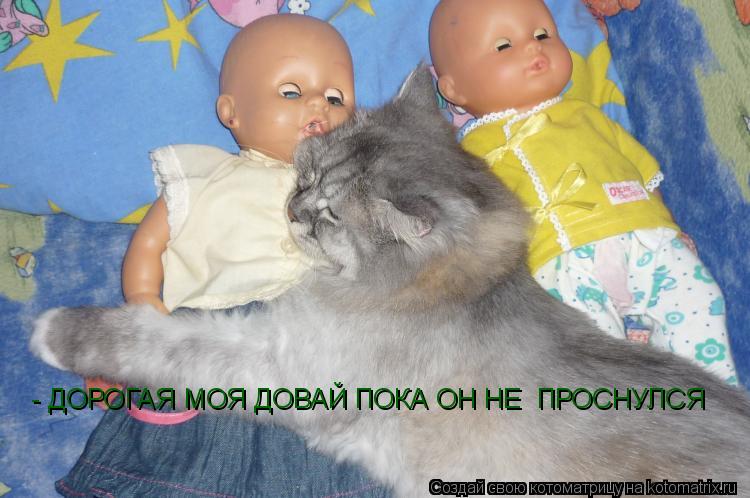 - ДОРОГАЯ МОЯ ДОВАЙ ПОКА ОН НЕ ПРОСНУЛСЯ... Котоматрица: - ДОРОГАЯ МОЯ ДОВАЙ ПОКА ОН НЕ ПРОСНУЛСЯ