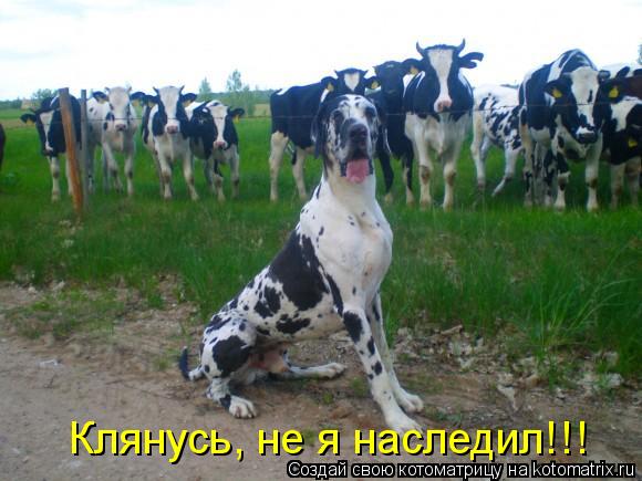 Клянусь, не я наследил!!!... Котоматрица: Клянусь, не я наследил!!!