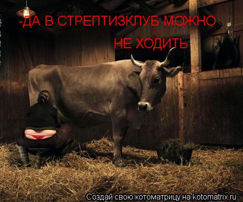 -ДА В СТРЕПТИЗКЛУБ МОЖНО НЕ ХОДИТЬ... Котоматрица: -ДА В СТРЕПТИЗКЛУБ МОЖНО НЕ ХОДИТЬ
