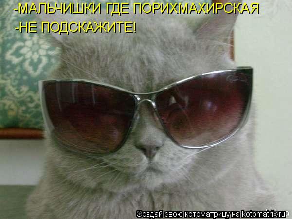 -МАЛЬЧИШКИ ГДЕ ПОРИХМАХИРСКАЯ -НЕ ПОДСКАЖИТЕ!... Котоматрица: -МАЛЬЧИШКИ ГДЕ ПОРИХМАХИРСКАЯ -НЕ ПОДСКАЖИТЕ!