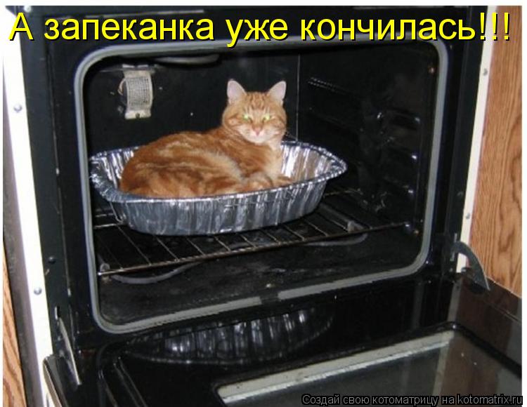 А запеканка уже кончилась!!!... Котоматрица: А запеканка уже кончилась!!!