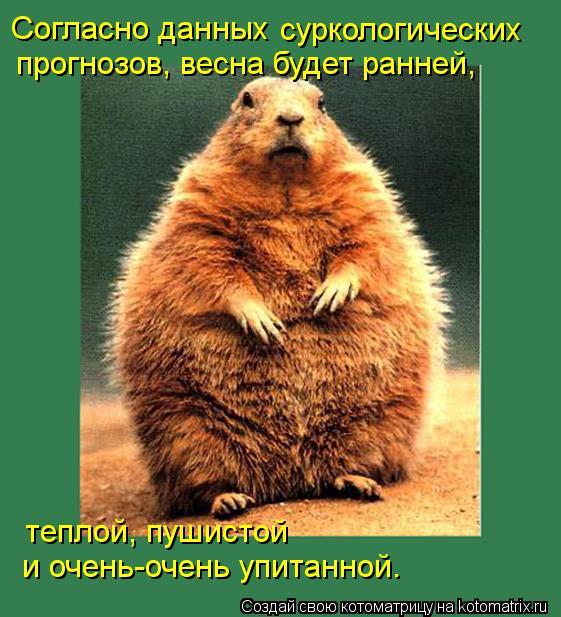 Согласно данных суркологических прогнозов, весна будет ранней, теплой, пушистой и очень-очень упита... Котоматрица: Согласно данных суркологических прогнозов, весна будет ранней, теплой, пушистой и очень-очень упитанной.