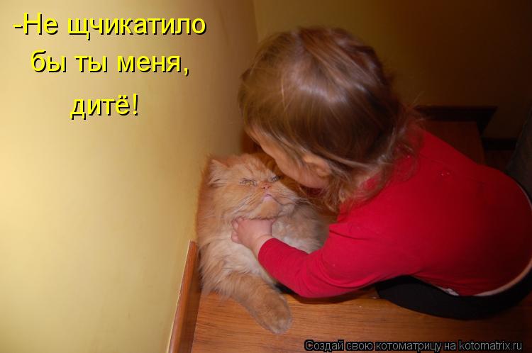 -Не щчикатило бы ты меня, дитё!... Котоматрица: -Не щчикатило бы ты меня, дитё!