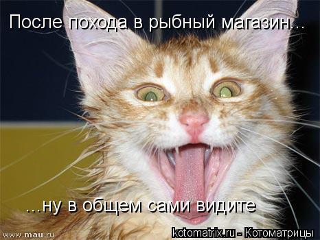 ...ну в общем сами видите После похода в рыбный магазин...... Котоматрица: ...ну в общем сами видите После похода в рыбный магазин...