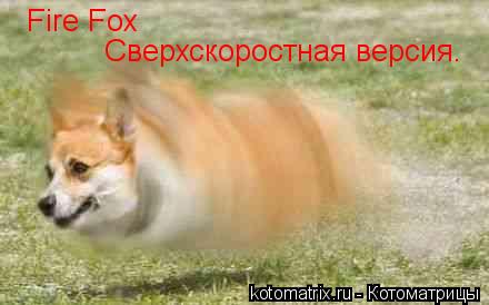 Fire Fox Сверхскоростная версия.... Котоматрица: Fire Fox Сверхскоростная версия.