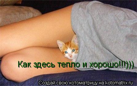 Как здесь тепло и хорошо!!!)))... Котоматрица: Как здесь тепло и хорошо!!!)))